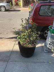 Rented by Mark T. Mallek, LREB