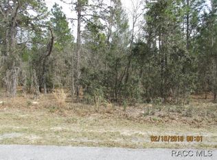 3255 N Tyrone Ave, Hernando, FL 34442