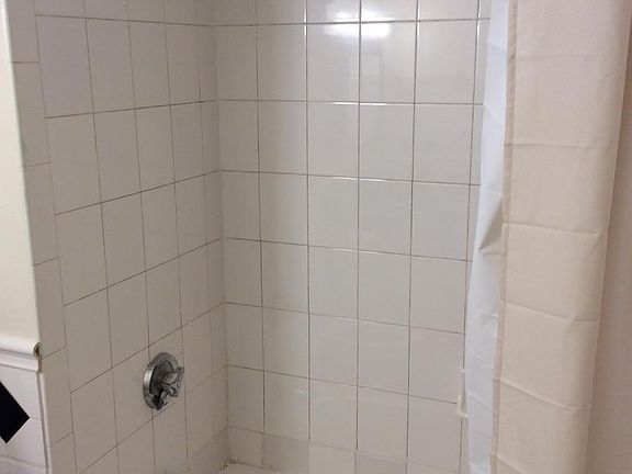 Shower and Porcelain Tub