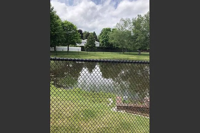2 bed, 883 sqft, $1,900 — Photo 3