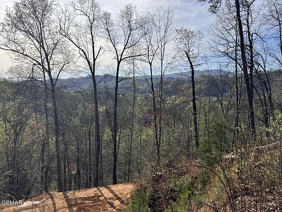 2nd image of 59 Piney Ridge Way Lot 59