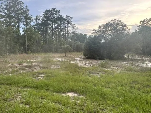 Vacant Land Sw Mineola Ln Lot 2, Dunnellon, FL 34431