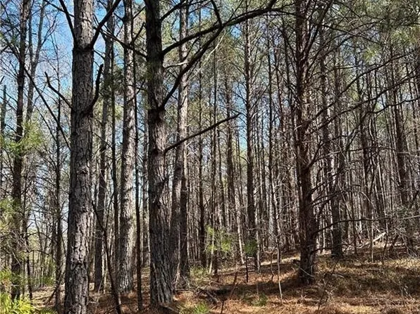 0 Jud Cook Rd, Carbon Hill, AL 35549