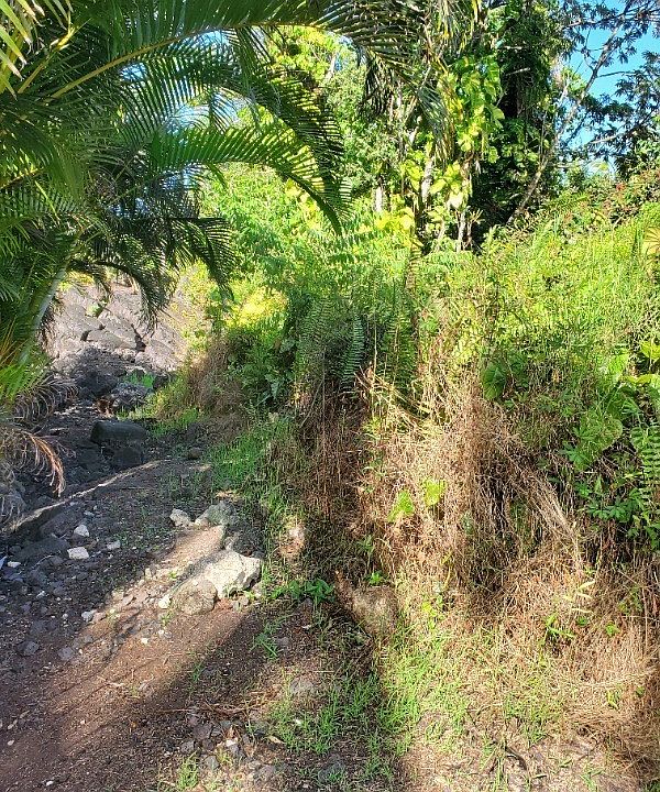 2nd image of Maiko St Lot 915