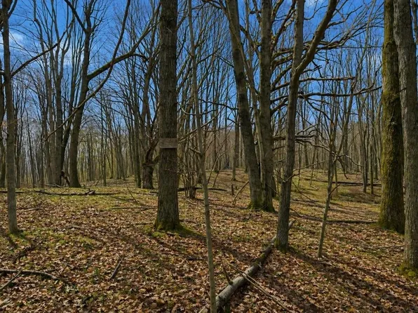 LOT 967 Cherry Rd, Farwell, MI 48622