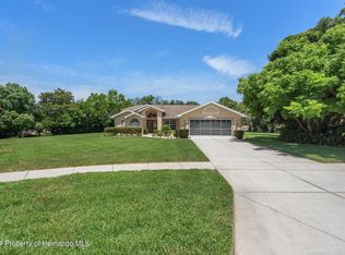 13461 Pia Ct, Spring Hill, FL 34609