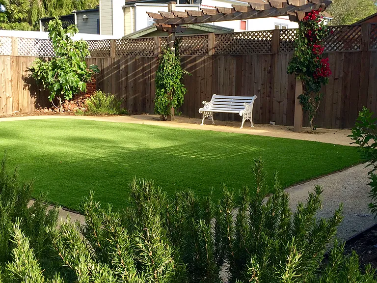 Backyard with artificial turf