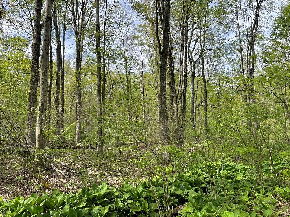 2nd image of 0 Conneaut Lake Rd