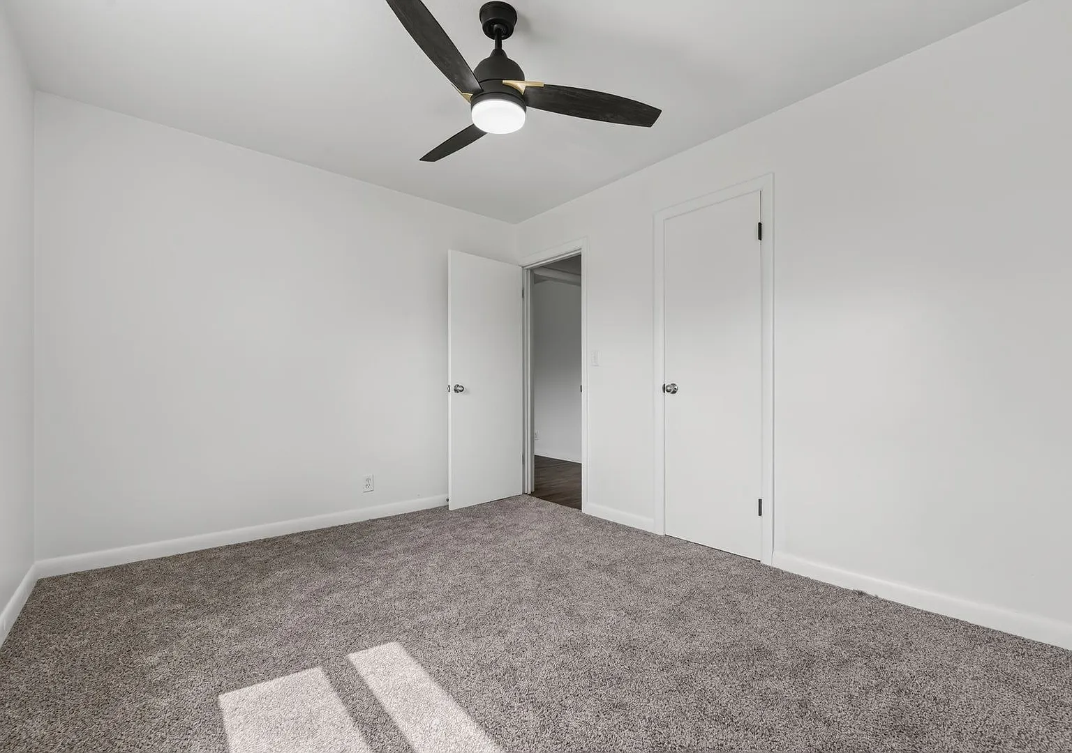 Newton Four Plex 421 — Photo 4