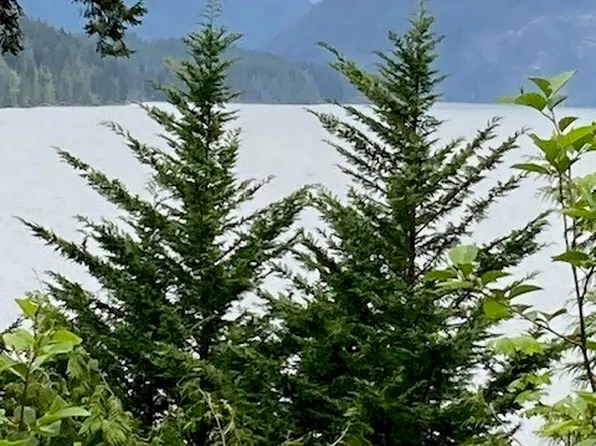 246 N Lakeshore Place, Hoodsport, WA 98548