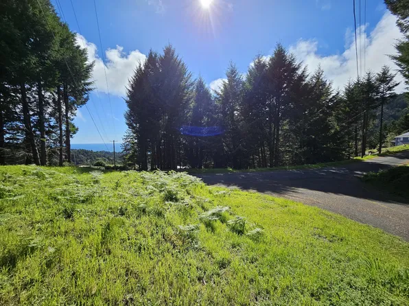 632 Wolverine Way, Whitethorn, CA 95589
