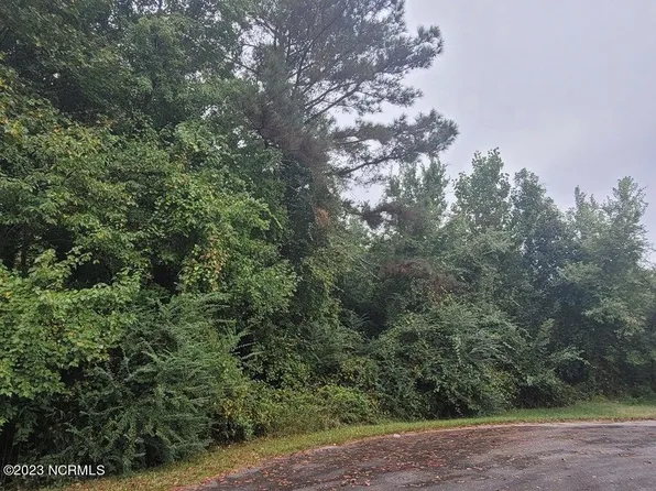 5019 Gladys Owens Street, La Grange, NC 28551