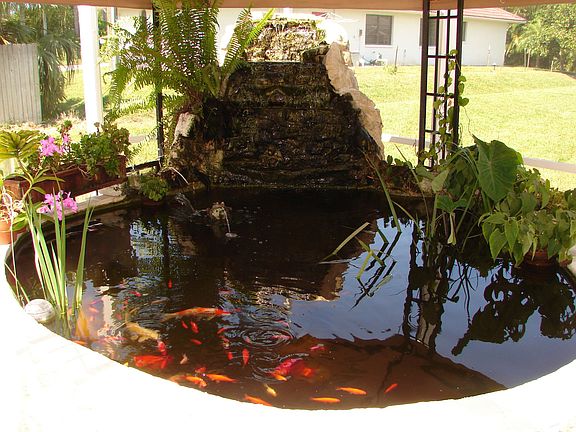 Custom pond to grow plants, orchids year-round, koi and goldfish, waterfall