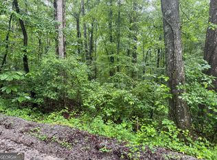 0 Vaughn Rd, Temple, GA 30179