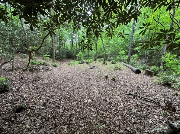 0 Diamond Creek Rd, Lake Toxaway, NC 28747