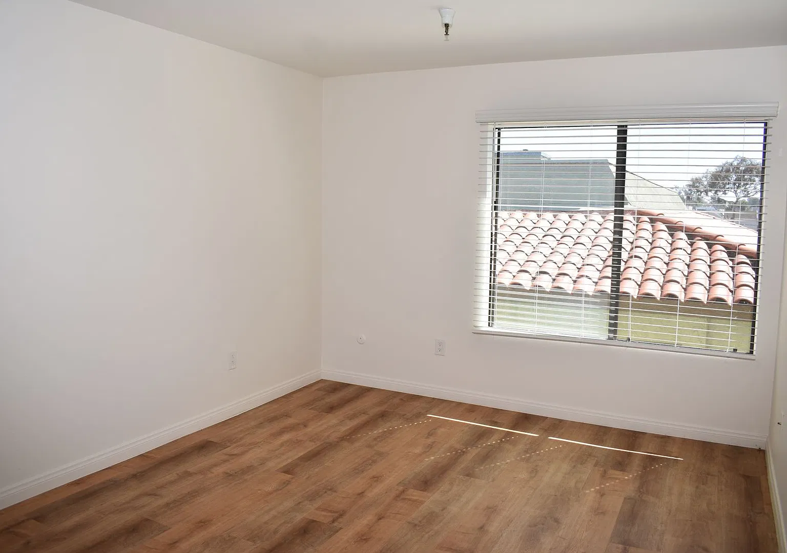 1 bed, 378 sqft, $1,650 — Photo 3