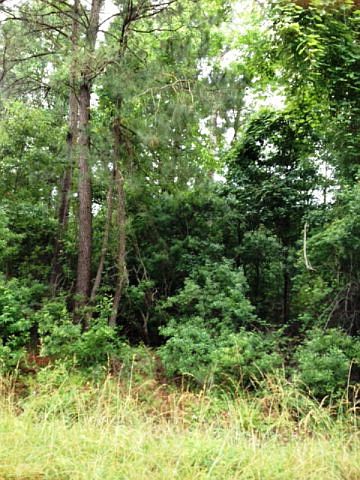 1st image of 18 PtLOT Howards Landing Road LOT Pt18