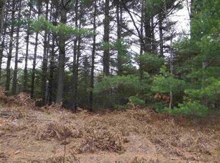 0 N Packingham Rd, Manton, MI 49663