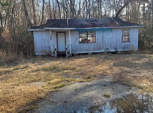 3701 Brandi Ln, Blackshear, GA 31516