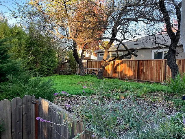 1632 Prince St #E — Photo 13