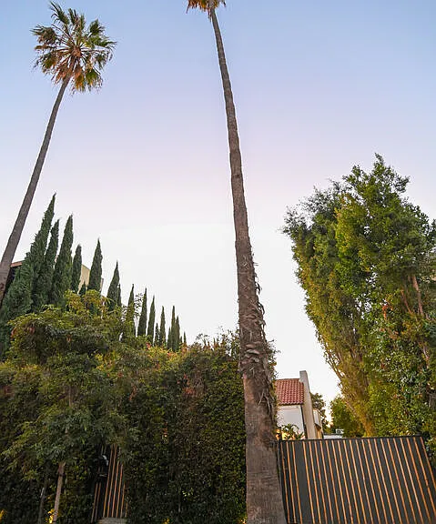 1019 N Orange Grove Ave — Photo 36