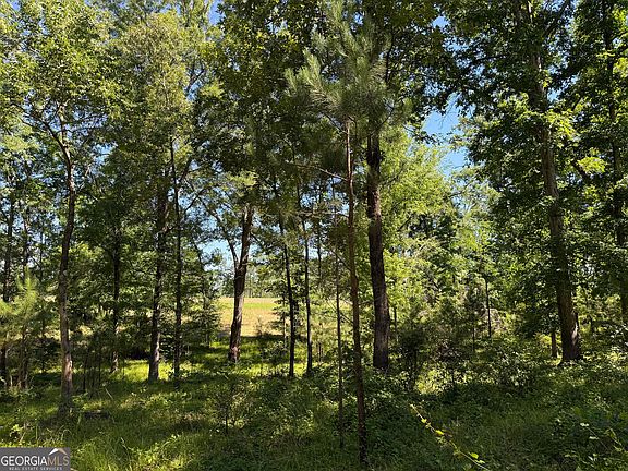 3rd image of 4979 Augusta Hwy