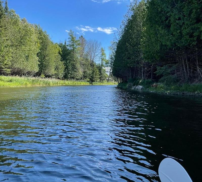 LOT Botsford Is B, Drummond Island, MI 49726 Zillow