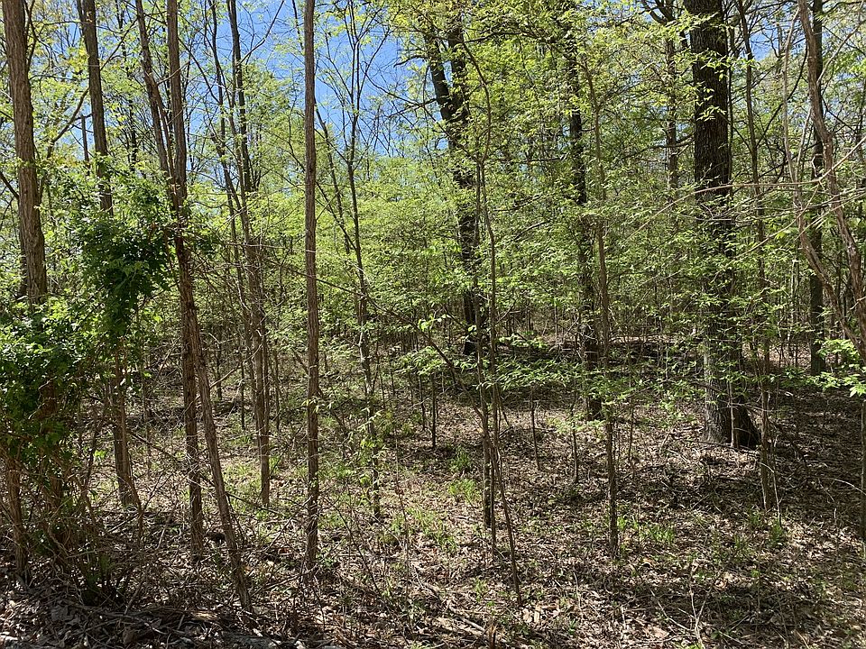 1st image of 0 Eagles Nest Ln