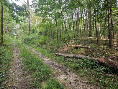 0 Ridge Rd, Waverly, NY, 14892