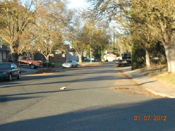 2nd image of 3151 Clogston Way