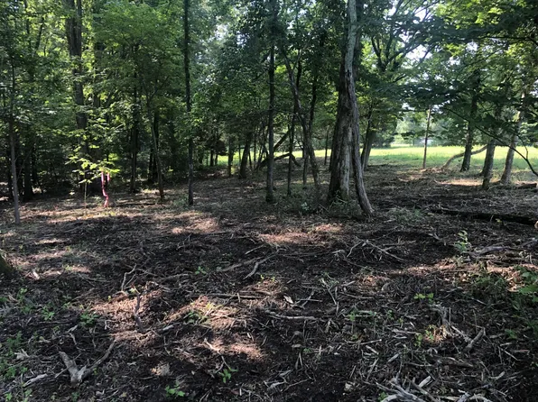 0 Murphy Hollow Rd Tract 4, Vanleer, TN 37181