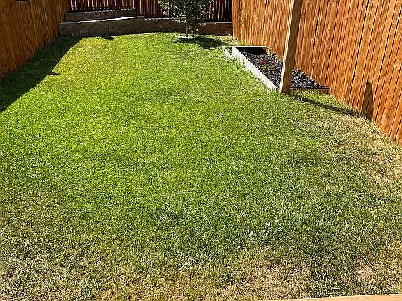 Back deck/fenced dog yard 