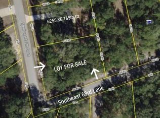 SE 165th Ct #35, Ocklawaha, FL 32179
