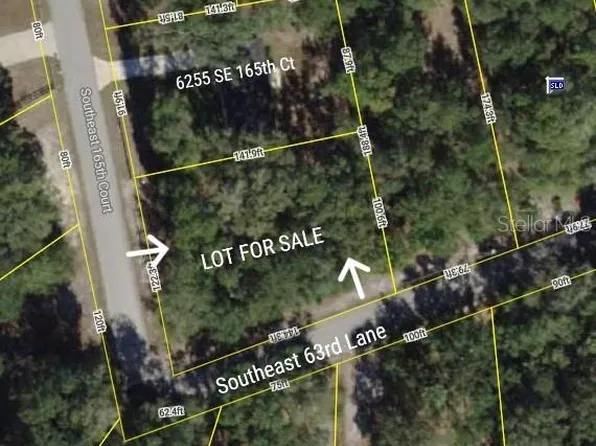 SE 165th Ct #35, Ocklawaha, FL 32179