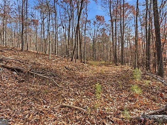 5th image of 0 Flowery Branch Rd