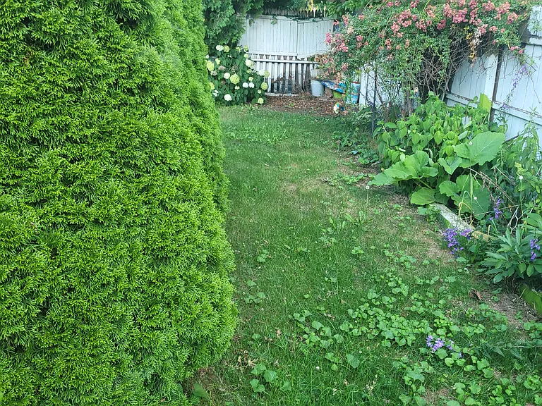 135 S Elmwood Ave — Photo 36