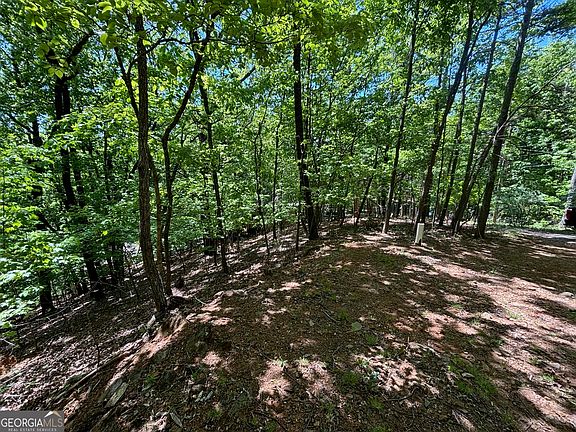 2nd image of 0 Lookout Ridge Rd #11
