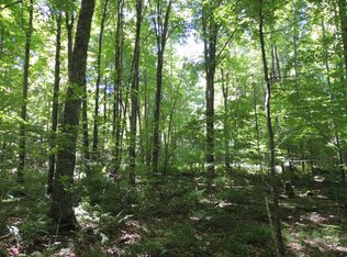 Badger Ranch Rd, White Lake, WI 54491