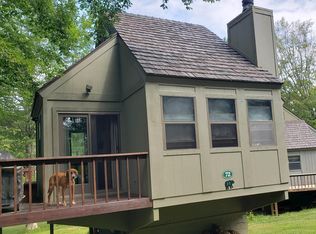 72 Red Squirrel Run, Davis, WV 26260