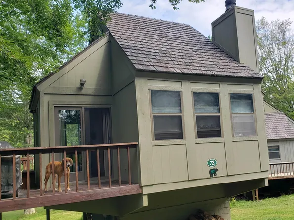 72 Red Squirrel Run, Davis, WV 26260