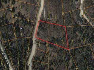 770 Roberts Rd, Alma, CO 80420