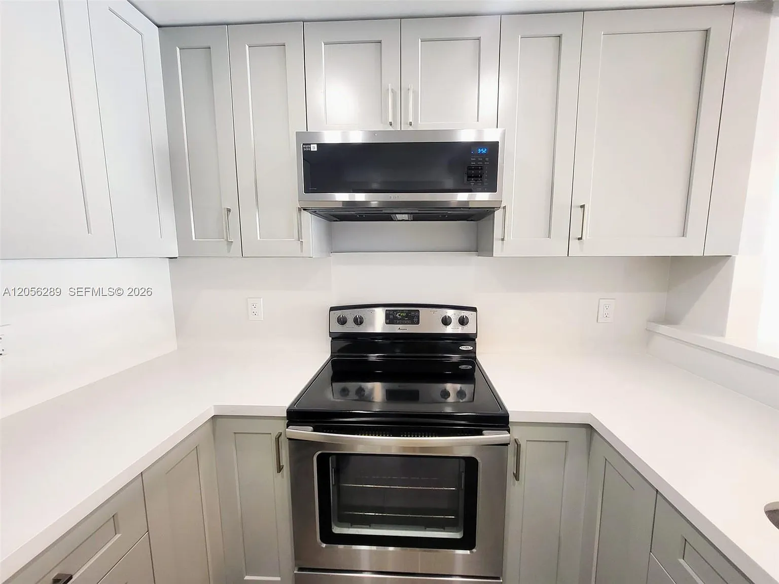 Desoto Park Condo — Photo 2
