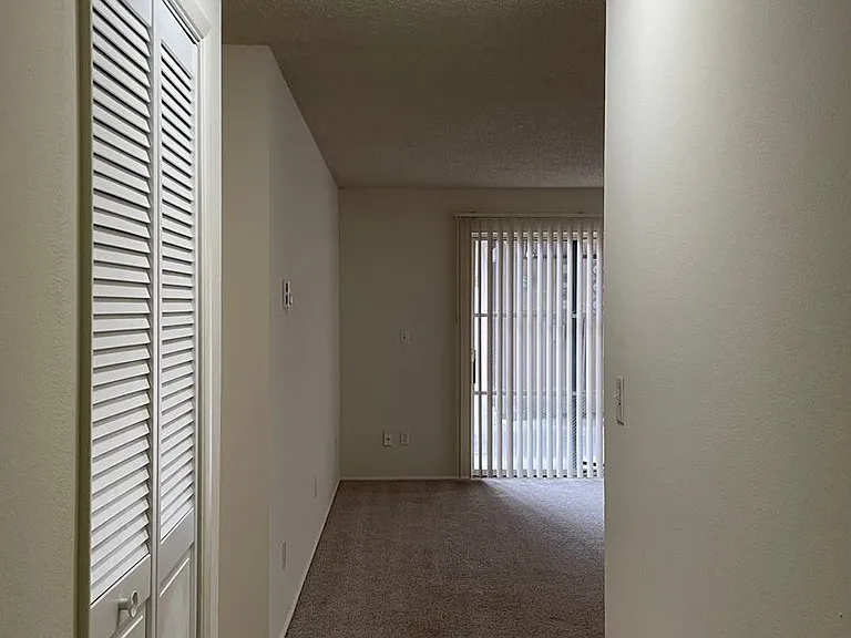451w13 — Photo 3
