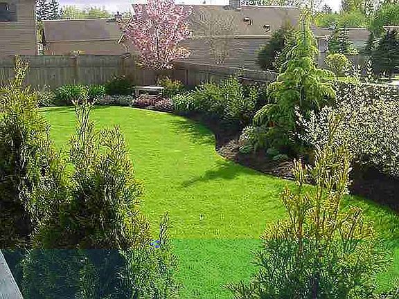 Back yard from deck stairs