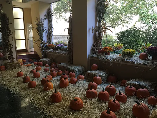 Rented by Ossa Properties | media 28