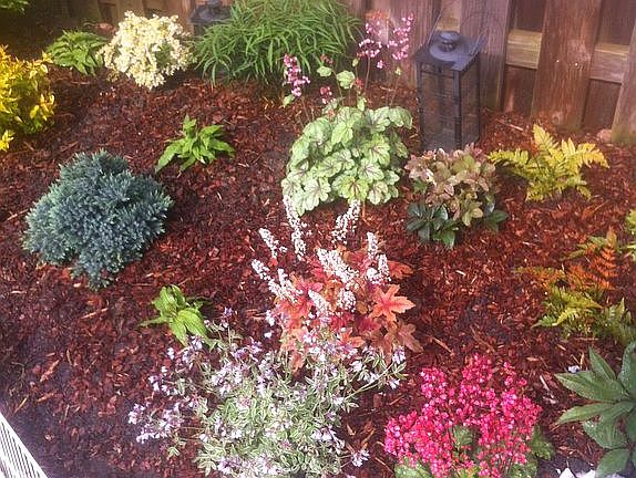 Back yard landscaping1