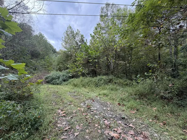 5501 Ridgeview Nellis Rd, Ridgeview, WV 25169
