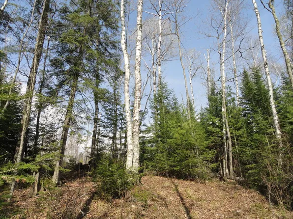6047 Voyageurs Trl, Biwabik, MN 55708