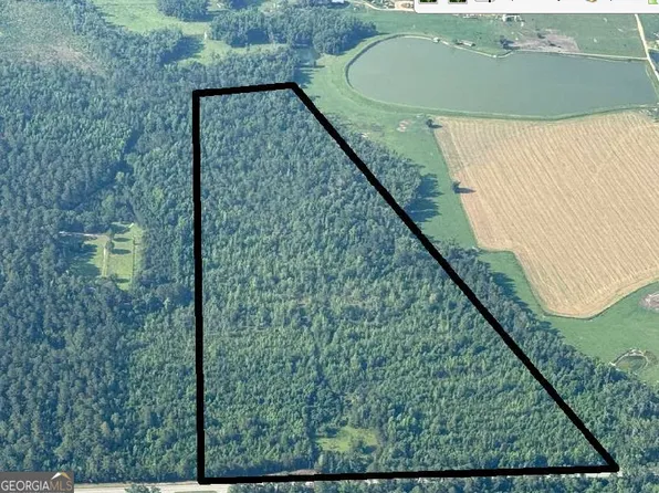Highway 46 E, Metter, GA 30439