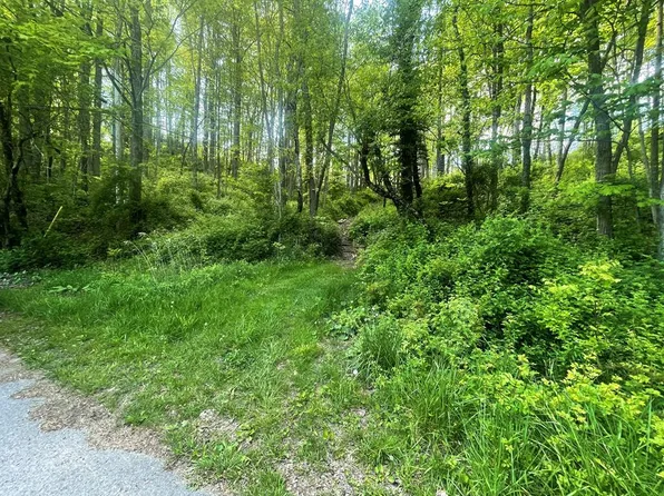 Blue Room Rd, Midway, WV 25878